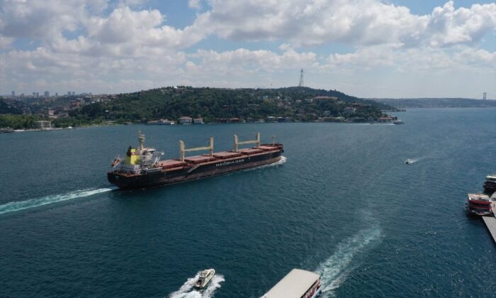 Ukrayna’dan gelen tahıl yüklü 2 gemi, İstanbul Boğazı’ndan geçti!.