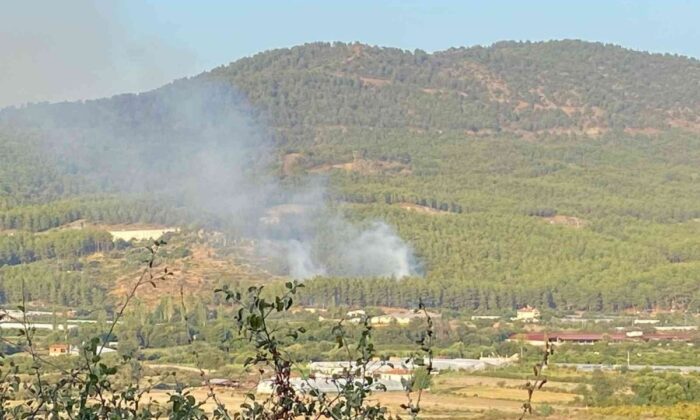 Muğla’da maytapla orman yakan 4 kişi yakalandı!.