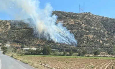 İzmir’de orman yangını! Havadan ve karadan müdahale başladı!.