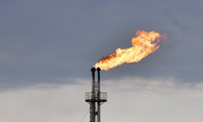 Almanya Rus petrol şirketine kayyum atadı!.