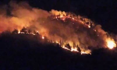 Uşak’ta orman yangını! Ekipler müdahale ediyor!.
