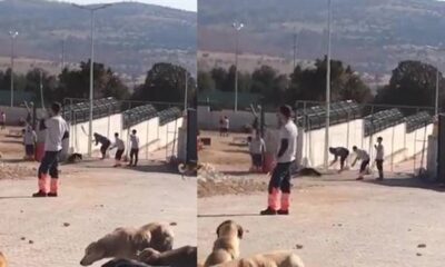 Konya’da hayvan bakımevinde köpeklere eziyet 2 kişi tutuklandı!.