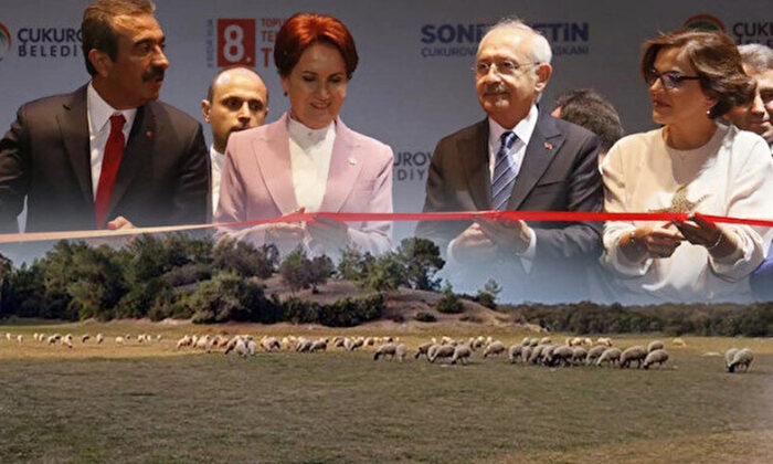 Adana’da Kılıçdaroğlu ve Akşener’in temel attığı proje alanında koyunlar otluyor!.