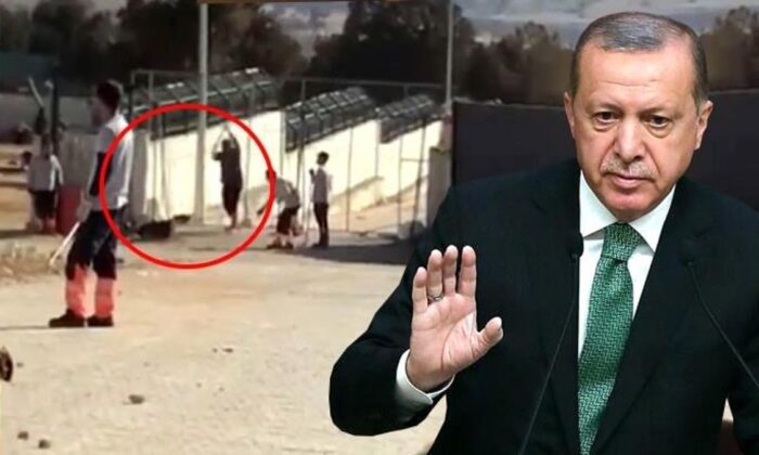 Cumhurbaşkanı Erdoğan’dan, Konya’daki hayvan barınağına ilişkin açıklama..
