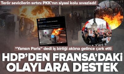HDP’den Fransa’daki PKK’lılara destek..