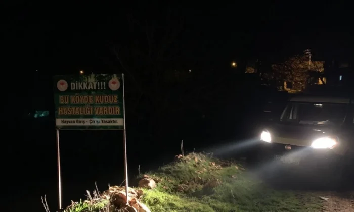 Adıyaman’da 3 köy, kuduz nedeniyle karantinaya alındı!.