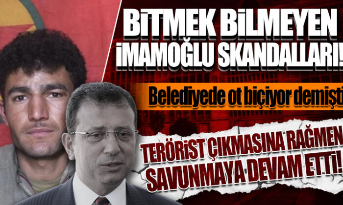 İmamoğlu’nun “sadece ot biçiyorlar” diye savunduğu belediyede işe alınan teröristler..