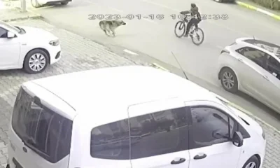 İzmir’de köpekten kaçan çocuğa otomobil çarptı!.