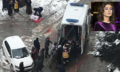 Yıldız Tilbe’den Van’daki olaya hayvanseverleri kızdıracak tepki! “Köpek terörü..”