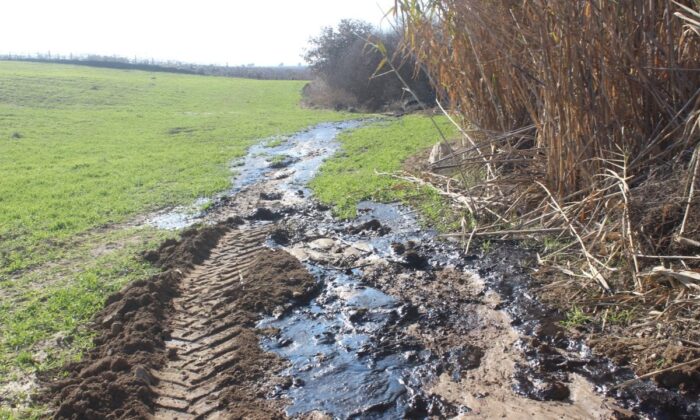 Manisa’da yine petrol bulundu!.