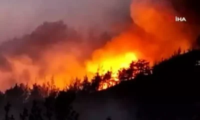 Osmaniye’de orman yangını! Söndürme çalışmaları devam ediyor!.