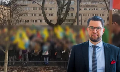 PKK sevici İsveç’in vekilinden Türkiye’ye yönelik küstah sözler..