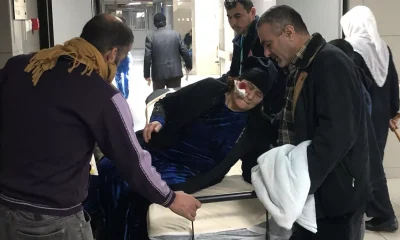 Bursa’da yaşlı kadın sokak köpeklerinin saldırısına uğradı!.