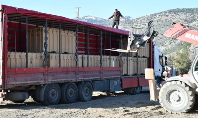 BAE, deprem bölgesine 97 yardım uçağı gönderdi!.