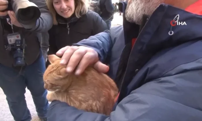 Kahramanmaraş’ta 248 saat sonra enkazdan kedi çıkarıldı!.
