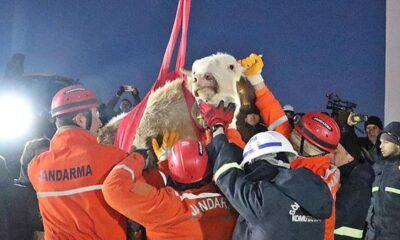 Sarıkız, depremin 15’inci gününde kurtarıldı!.