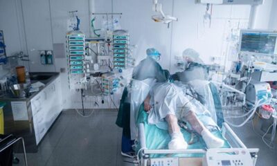 Çin, DSÖ’ye kuş gribinin A (H3N8) türünün bulaştığı bir kişinin öldüğünü bildirdi!.