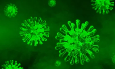 DSÖ, Ekvator Ginesi’nde toplam 16 Marburg virüsü vakasının görüldüğünü duyurdu!.