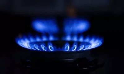 TÜİK’ten ücretsiz doğalgaz tüketiminin TÜFE’ye etkisine ilişkin açıklama..