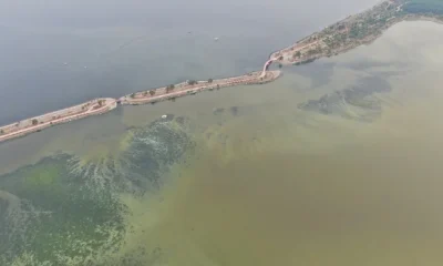 İzmir yine kokuyor!.