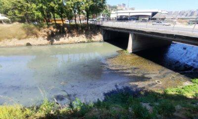 Haliç kokmaya başladı!.