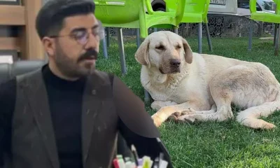 Şanlıurfa’da kuduz köpeğin saldırısına uğrayan genç mimar hayatını kaybetti!.
