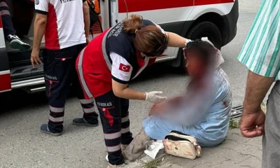 Ataşehir’de köpek saldırısına uğrayan kadının boynu ve başı parçalandı!.