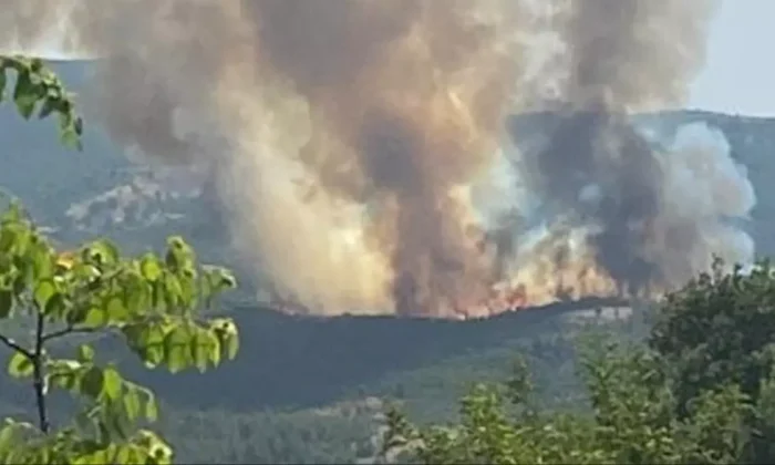 Beykoz’da orman yangını..
