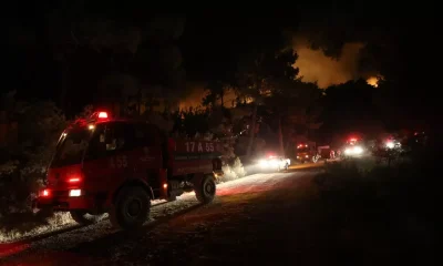 Çanakkale’de orman yangını! Müdahale sürüyor!.