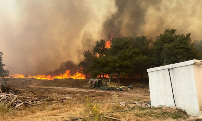Çanakkale’deki orman yangını kontrol altına alındı!.
