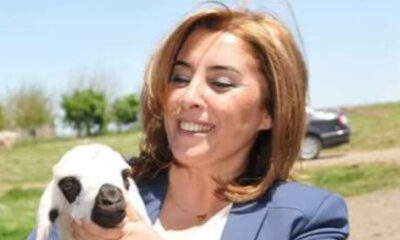 Edirne’de yakalanan eski HDP’li Belediye Eş Başkanı tutuklandı!.