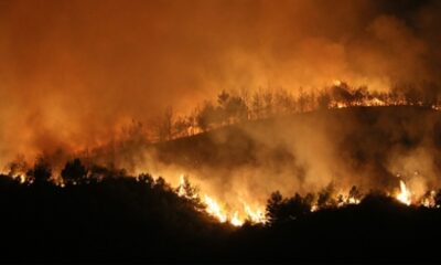 Hatay’da çıkan orman yangınıyla ilgili 1 kişi tutuklandı!.