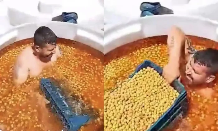 Manisa’da zeytin tankına çıplak giren işçi tutuklandı!.