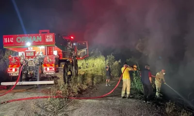 Osmangazi’de orman yangını! 1 kişi gözaltına alındı!.