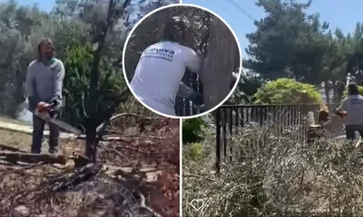 Akbelen’de çevrecilik oynayan CHP’liler, Bornova’da ağaçları kesti!.