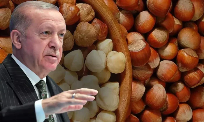 Cumhurbaşkanı Erdoğan fındık alım fiyatlarını açıkladı!.