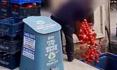 İstanbul’da zincir market çalışanları kasa kasa domatesleri çöpe attı!.