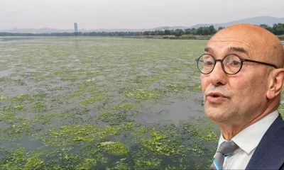 Tunç Soyer “pis koku sorununu çözdük” demişti! İzmirlilerden Körfez isyanı..