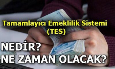 Tamamlayıcı Emeklilik Sistemi geliyor..
