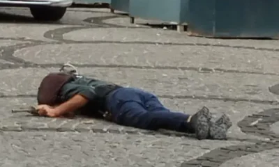 Saldırıyı gerçekleştiren hain it böyle gebertildi!.