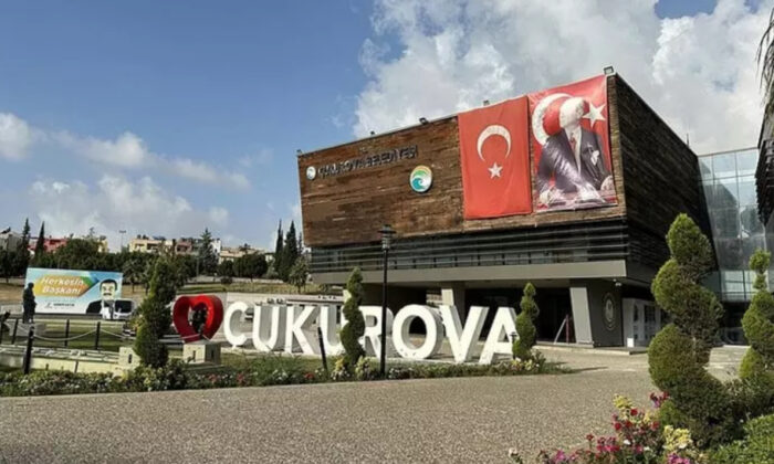 Rüşvetin şifresi: Zeytinin Kilosu 8 Lira!.