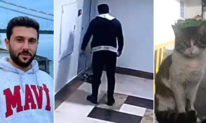 Kedi katili alçak iyi halden serbest bırakıldı!.