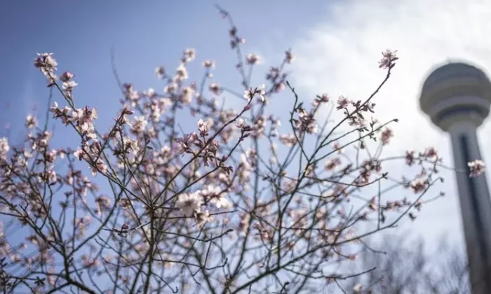 Seçim günü hava nasıl olacak?.