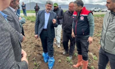 AK Partili vekilin tarlada galoşla gezmesine tepkiler çığ gibi!.