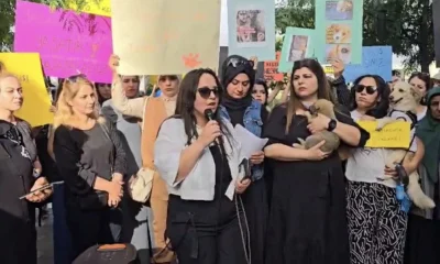 Kuduz köpekler toplatılmasın diye mahalleyi bastılar!.