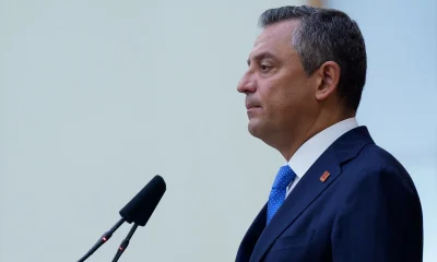 Sokak köpekleri düzenlemesi için CHP AYM’ye gidiyor!.