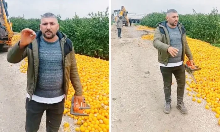 Adanalı çiftçi marketlerde kilosu 100 lira olan o limonları satamadığı için dökmüş!.