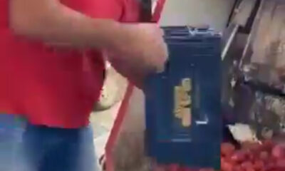 Tonlarca domatesi çöpe döken toptancıya şaka gibi ceza!.