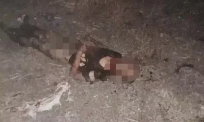 Köpeklerin parçalayarak öldürdüğü vatandaşın Adli Tıp raporu yayınlandı!.