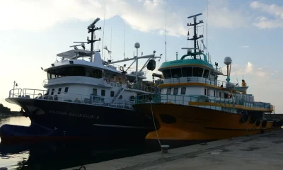 Vira Bismillah.. Av yasağı sona erdi…